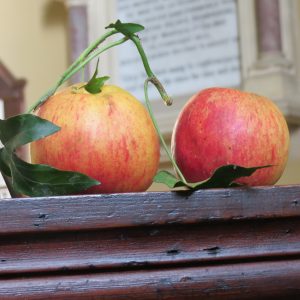 Harvest Thanksgiving in St. Mary’s, Shinrone with Canon Charles