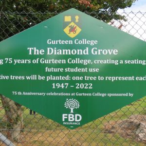 Celebrating the Diamond Jubilee of Gurteen College September 3rd 2022