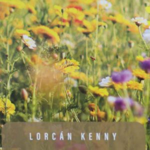 Fr. Lorcan Kenny, Book Launch, Colaiste Phobal Roscrea, Wednesday 1st March 2023