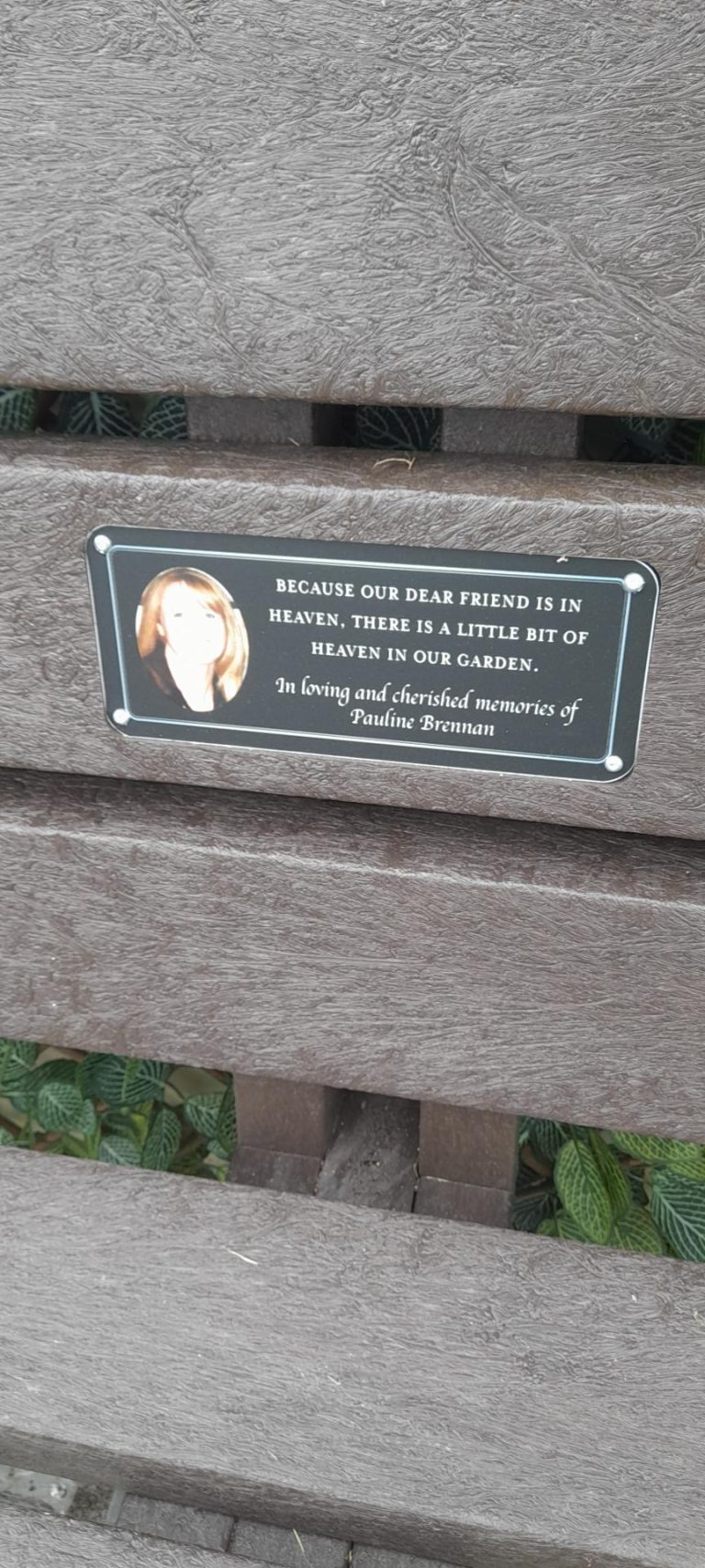 Blessing of a Seat & Planting of a tree in memory of Pauline Brennan, Manager of St. Anne's Home Shinrone Sunday 10th September 2023