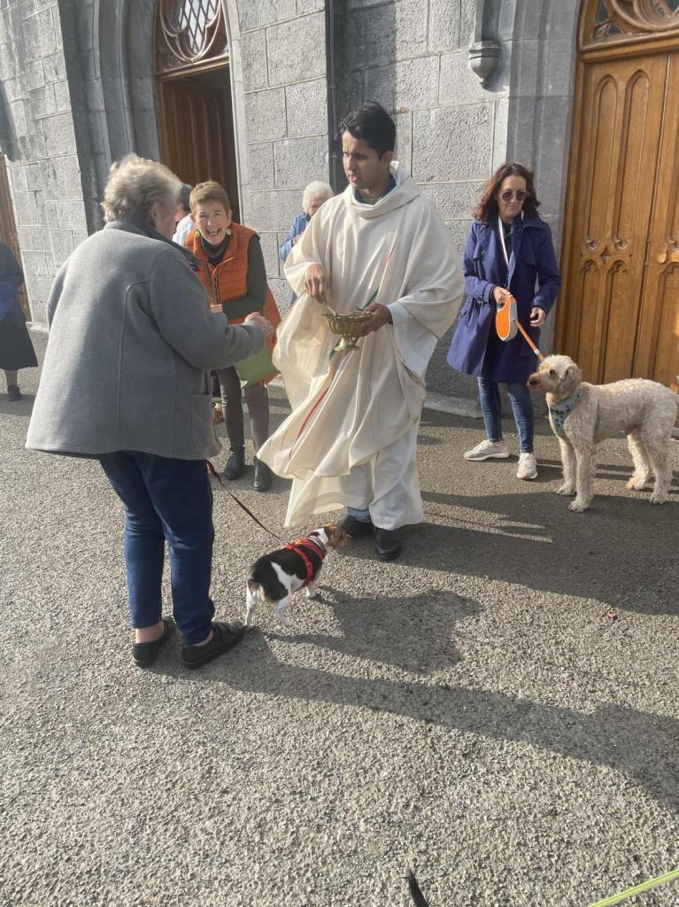 Blessing of the Animals Wednesday 4th October 2023
