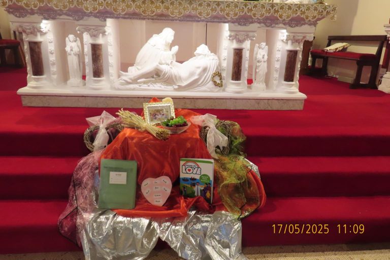 Holy Communion Day Mercy P.S & St. Brendan's P.S Saturday May 17th