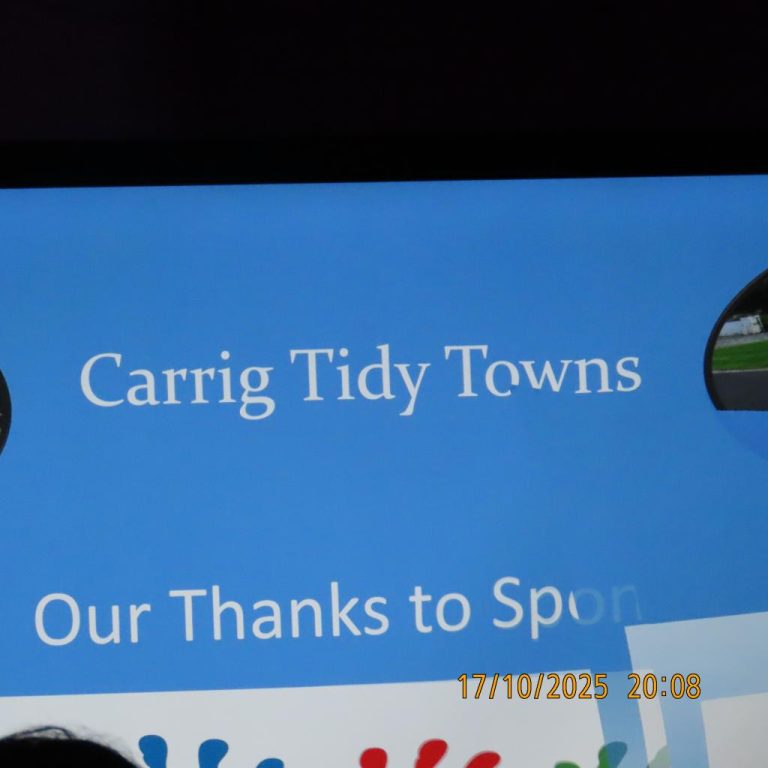 Carrig Tidy Towns Concert 