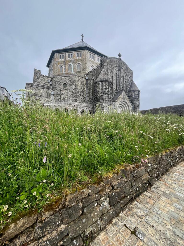 Lough Derg one day retreat and Diocesan 3 day from Ennis