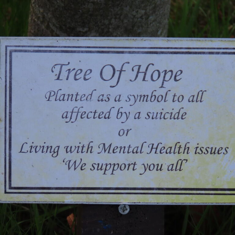 Midland Living Links Tree of Hope Mass Saturday September 19th in St. Brendan's RC Church